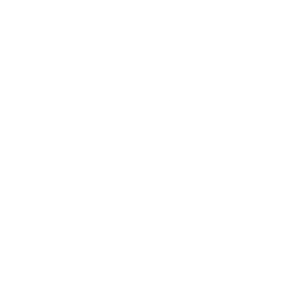 2022 N.° 12