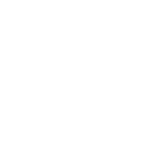 2022 N.° 13