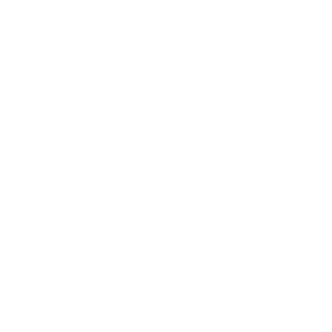 2022 N.° 16